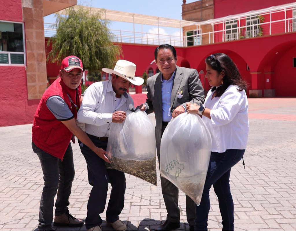 Entregan 250 mil crías de carpa en Villa Victoria