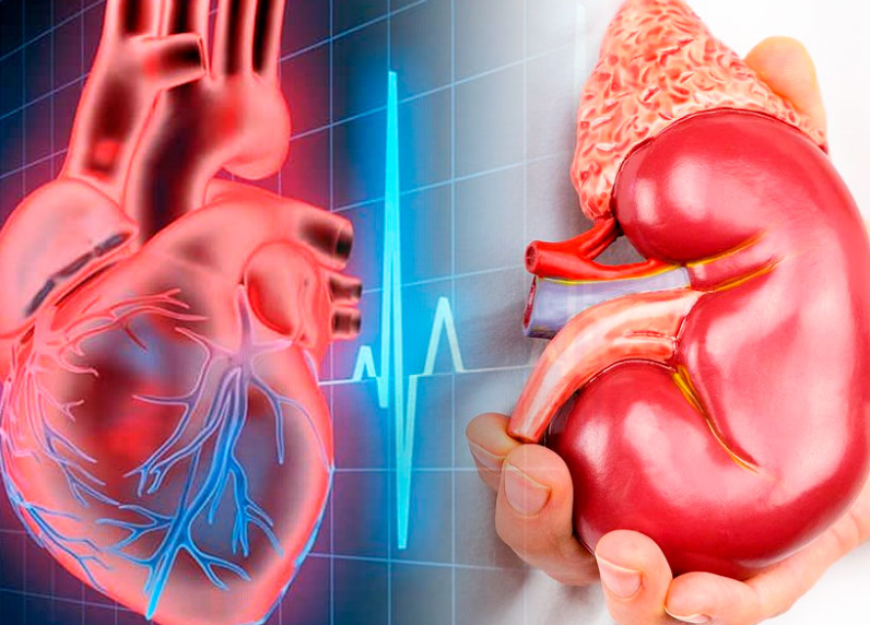 Llaman a prevenir riesgos cardiovasculares, renales y metabólicos a tiempo