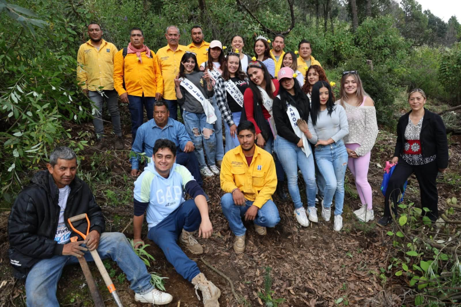 Huixquilucan supera 15 mil árboles reforestados