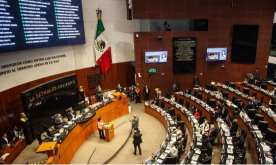 Senado avala en lo general reforma sobre nacionalidad única