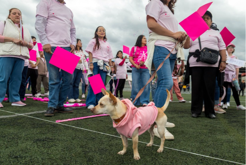 Santiago Tianguistenco invita a caminar contra el cáncer