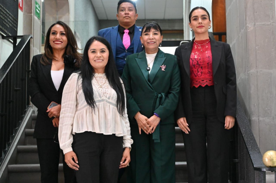 Diputadas cuestionan resultados contra violencia de género en Edomex