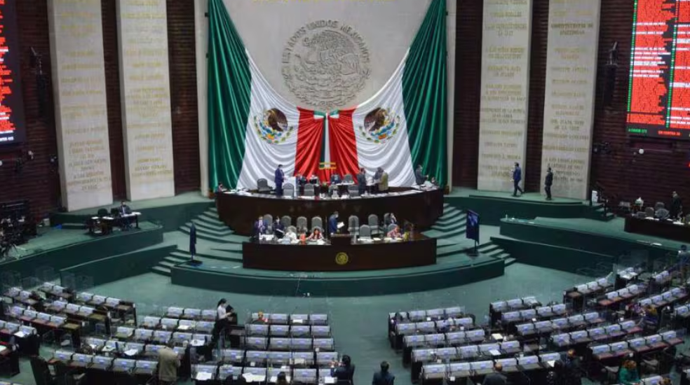 Recibe Cámara de Diputados renuncia de Guadalupe Taddei