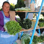 Destinan más del 50% del Programa Por el Rescate del Campo a mujeres rurales