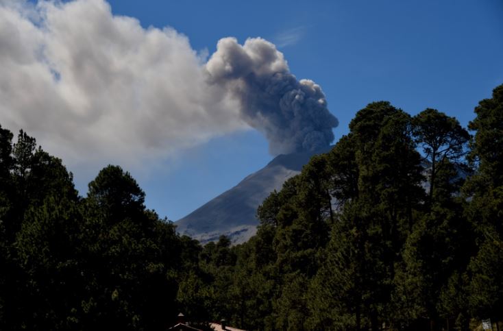 Invita GEM a sumar pequeñas acciones para combatir el cambio climático