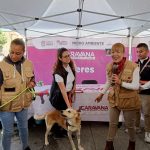 Realiza GEM exitosa Caravana por el Bienestar Animal en Chalco