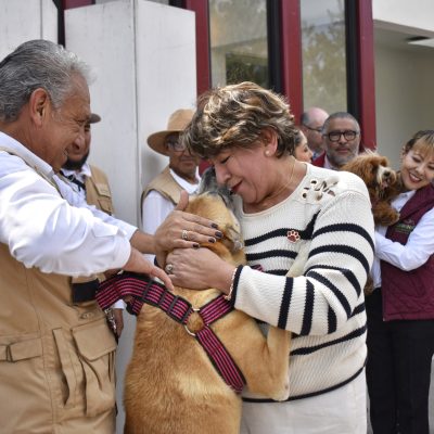 Exitoso programa de adopción de mascotas permite a 270 lomitos y michis encontrar un hogar en el EdoMéx