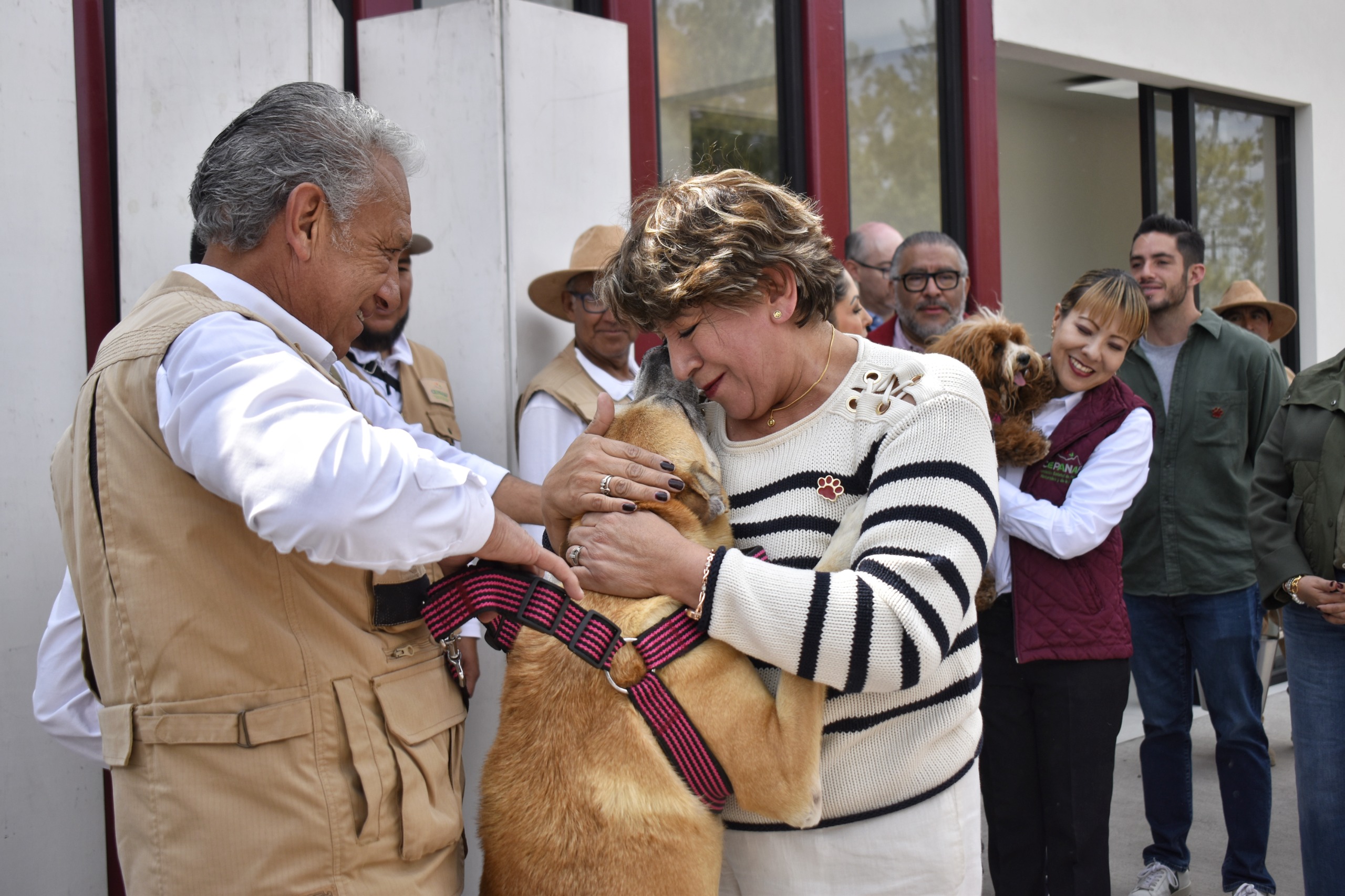 Exitoso programa de adopción de mascotas permite a 270 lomitos y michis encontrar un hogar en el EdoMéx