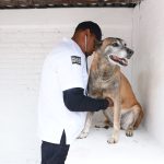 Alistan en Ecatepec jornadas de vacunación, esterilización y adopción responsable de seres sintientes